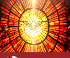 Méditation sur l’Évangile du jour